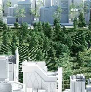 Каждая из дорог будет иметь длину около 600 метров