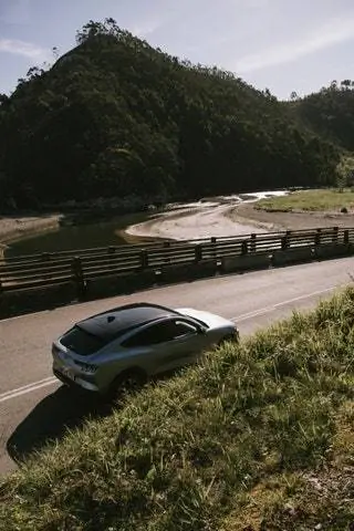 Ford Mustang MachE на шоссе
