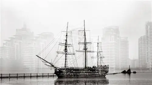 100 фотографов против COVID-19
