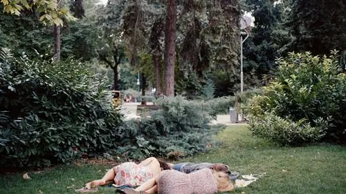 100 ФОТОГРАФОВ поддерживают борьбу с COVID-19 своим ИСКУССТВОМ