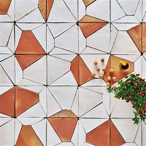 грязевая почва