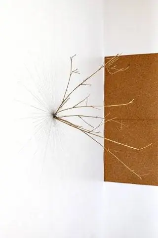 Ветви для части Geometry Nature Biology