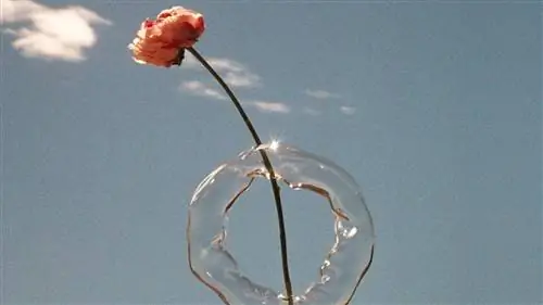 Произведение керамиста Валерии Васи на полпути между дизайном и искусством