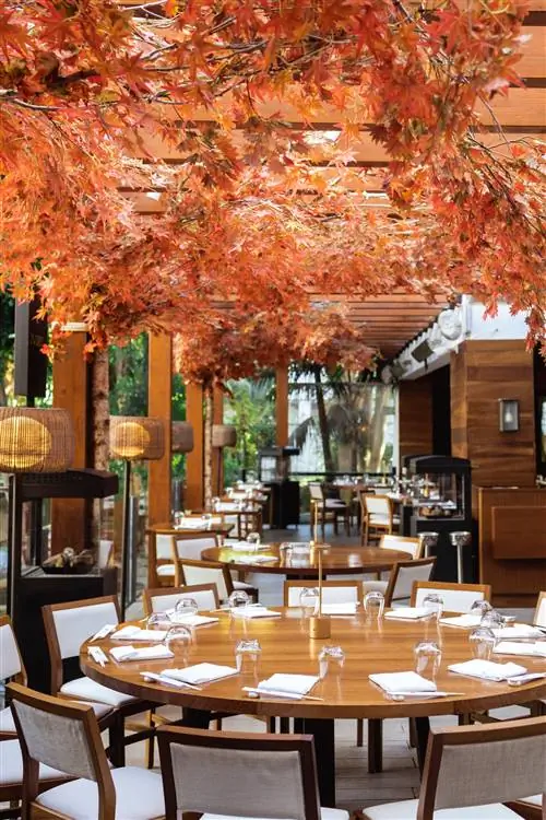 5 причин, почему Nobu Marbella - лучший ресторан на Коста-дель-Соль