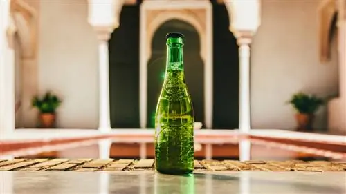 Это пять художников, участвующих в седьмой премии Cervezas Alhambra Award for Emerging Art