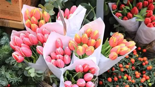 В это Рождество ЦВЕТЫ надевает VOGUE FLOWER MARKET