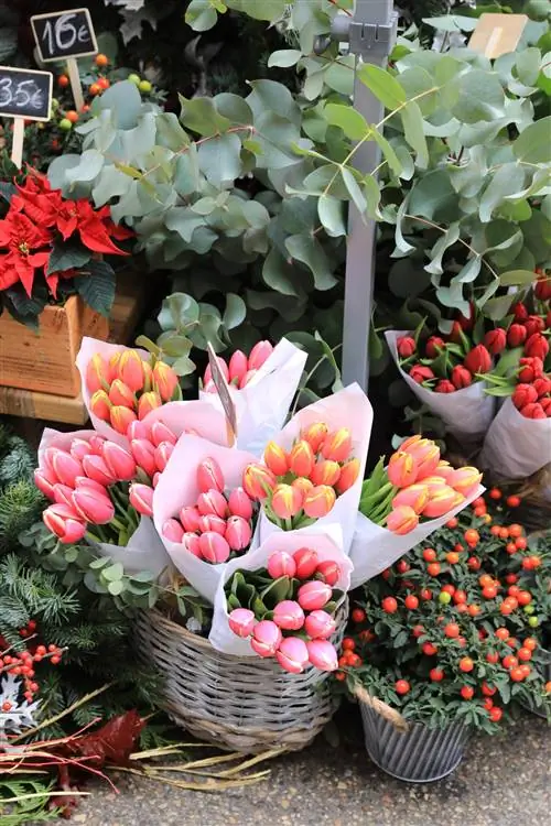 ЦВЕТЫ этого Рождества расставлены VOGUE FLOWER MARKET