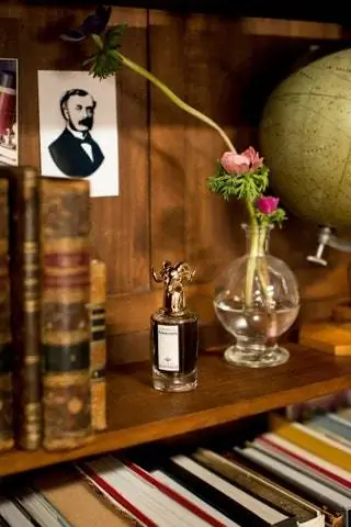 Книги земного шара портрет мистера Пенхалигона и образ беспокойного и мечтательного ума, который стоит за…