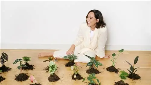 Растения, которые Тамар Фалько разместит на своем новом чердаке, несут печать этого испанского «стартапа»