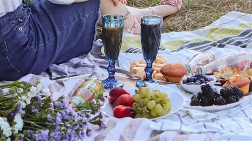 Лучшие аксессуары для приготовления пикника, достойного Instagram