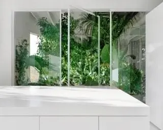 Потрясающие тропические растения, такие как Strelitzia Augusta Alocasia Macro и Montseras Japonicas, имитируют местную среду обитания…