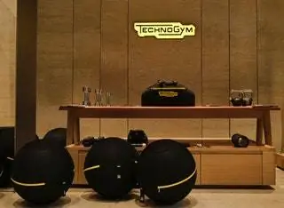 Чтобы посетить беседу о Technogym, гости сели на lanbspWellness Ball Active Sitting™, который помогает…