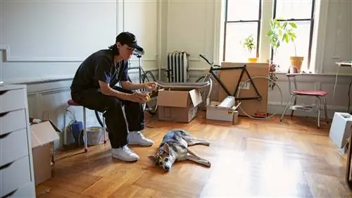 6 экологичных способов жить по всему миру благодаря Ikea и Phaidon