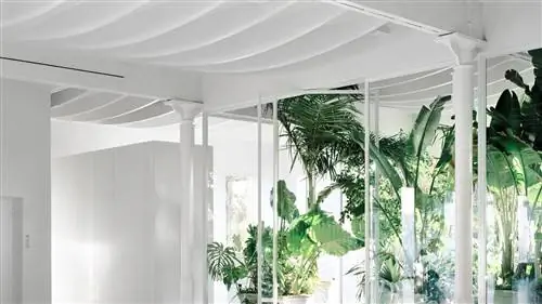 SIDE GALLERY открывает выставочное пространство, в которое входит TROPICAL GARDEN