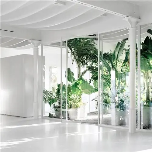 SIDE GALLERY открывает выставочное пространство с включенным TROPICAL GARDEN