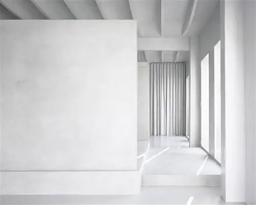 SIDE GALLERY открывает выставочное пространство с включенным TROPICAL GARDEN