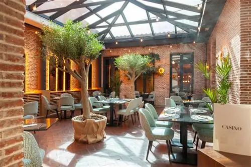 10 террас, где можно поужинать или выпить этим летом в Мадриде