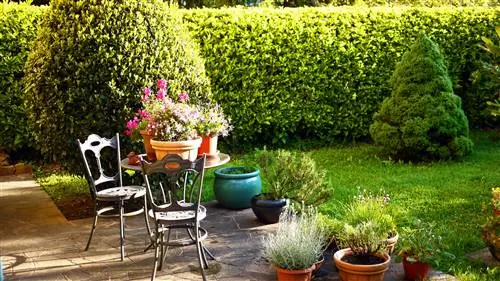 сад с цветами и стульями