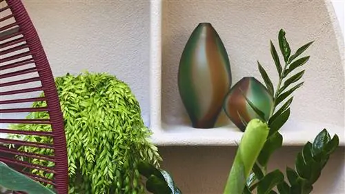 DETOX дизайн от Roche Bobois