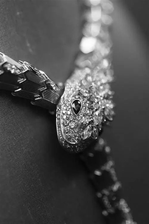 Vogue и Bulgari собрали самых ярких людей современности, чтобы отдать дань уважения легендарной коллекции Serpenti