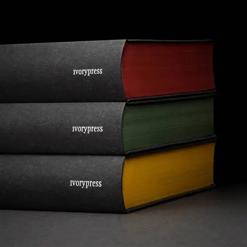 ЕЛЕНА ОЧОА отмечает 25-летие Ivorypress, своего издателя книг о художниках