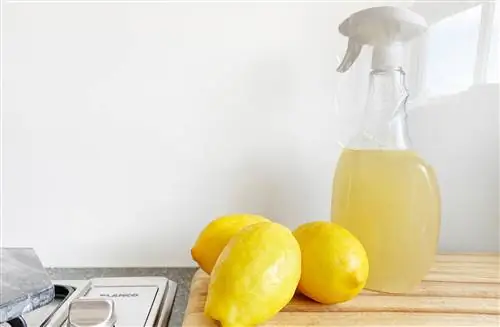 чистка уксусом и лимонами