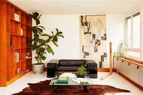 гостиная с черным диваном, деревянная мебель, ковер с темными волосами