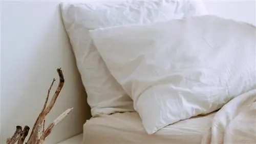 Как составить бюджет реформы: 7 ошибок, которые вы совершаете