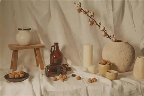 Фотография сделана учащимися выпуска октябрь-декабрь 2021 года в сотрудничестве с Питом Бермеджо и Уксио Да Вила