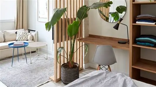 Как поддерживать порядок в маленькой квартире