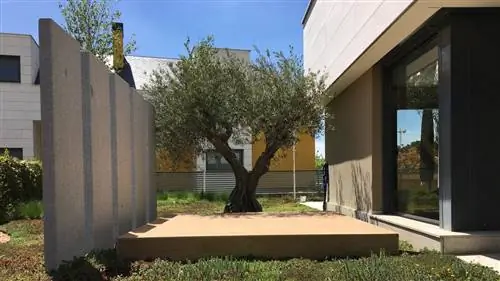 Сады без травы: они существуют и являются идеальной ЭКОЛОГИЧНОЙ альтернативой