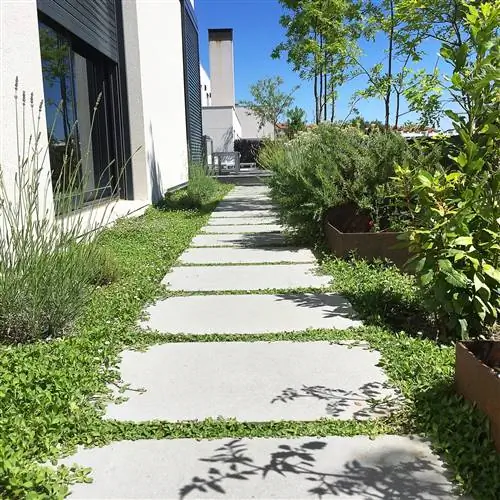 Сады без травы существуют и являются идеальной УСТОЙЧИВОЙ альтернативой