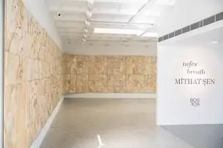 С 9 по 28 октября в галерее Bosfor в Стамбуле пройдет выставка «Дыхание» художника Митхата Сена…