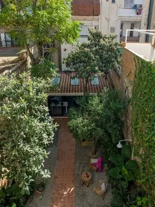 внутренний дворик дома с цветами и растениями