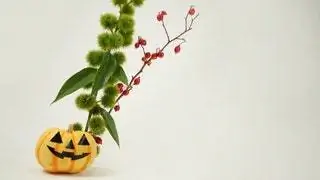 15 предметов декора, чтобы отпраздновать Хэллоуин стильно