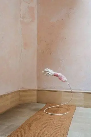 Ханна Фитц 2020