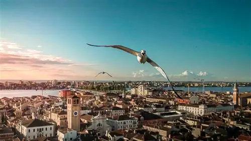 САМЫЕ ВПЕЧАТЛЯЮЩИЕ ФОТОГРАФИИ, сделанные с дрона в мире