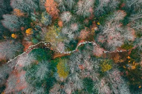 ФОТОГРАФИИ, сделанные с помощью самого ВПЕЧАТЛЯЮЩЕГО дрона в мире