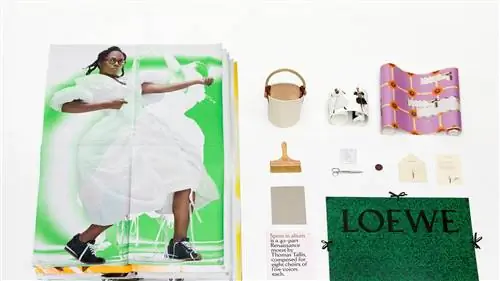 ОБОИ, победившие на последней выставке LOEWE SHOW