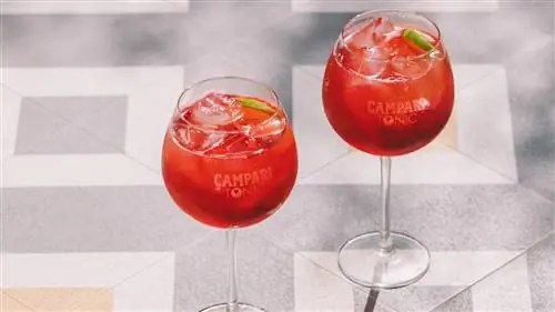 Лучшие коктейли AD AWARDS: The Campari Tonic