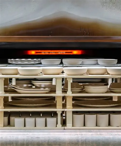Обжиг изделий VISTA ALEGRE Лайонела Балтейро | Ламусс