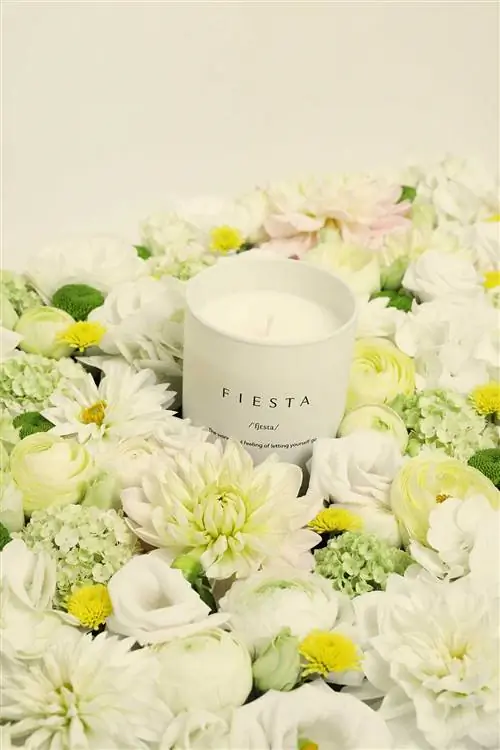 Вечеринка MintampRose