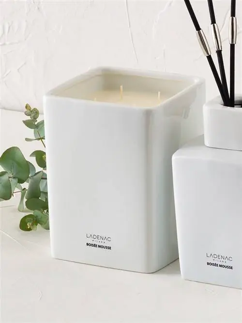 Boise Mousse de Ledenac