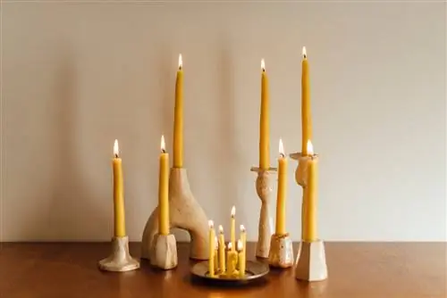 тусклый дом