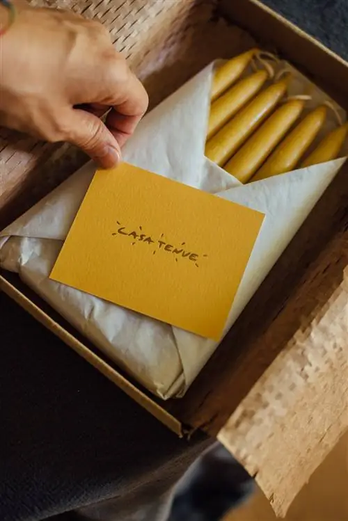 тусклый дом