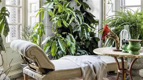 5 шагов к зеленой комнате дома