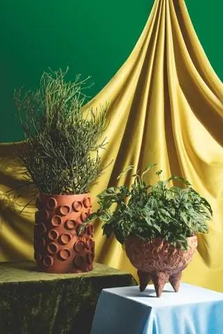 Терракотовый цилиндр от Паулы Гриф и плантатор для штатива Hairy Bowl от Кита Симпсона