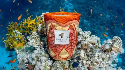 Как создаются роскошные ароматические свечи Baobab Collection