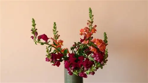 Это цветы, которые станут модными
