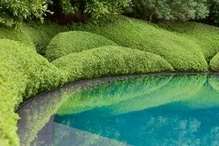 Kohimarama Garden 2005. Волны и рощи отражаются в базальтовом бассейне в форме полумесяца
